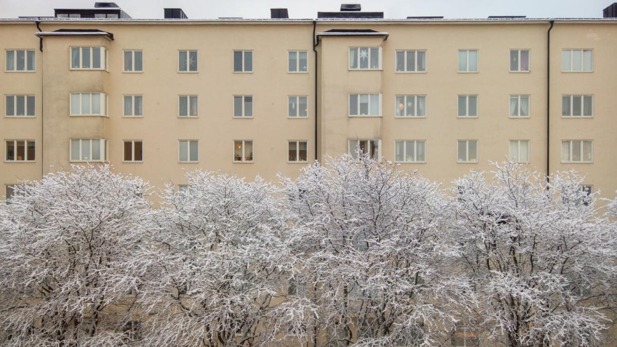 Cum va fi vremea în perioada sărbătorilor? Directorul executiv ANM, Florinela Georgescu a oferit detalii 