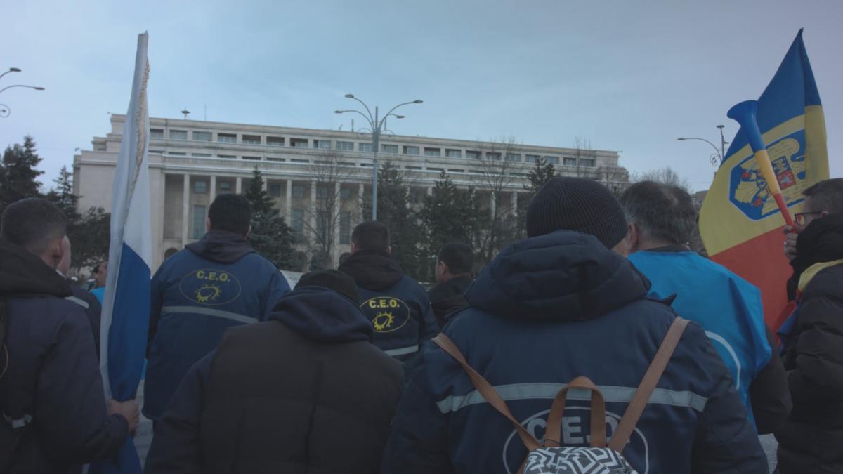  Rămași fără bonuri de masă, minerii au iești în stradă. Ce au strigat în fața Guvernului