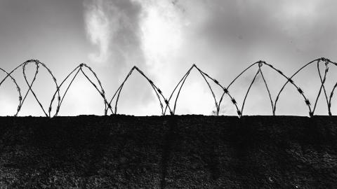 Holocaustul romilor. Recunoaștere târzie și victime „de mâna a doua”