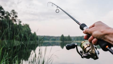 De ce poveștile pescărești sunt atât de exagerate? Prof. dr. Ion-Ovidiu Pânișoara vorbește despre memoriile false