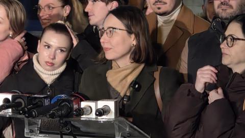 Măsurile promovate de Ana Ciceală, în vogă în Parlamentul European