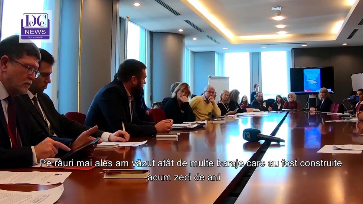 Michal Wiezik, despre sturionii din Dunăre și Marea Neagră