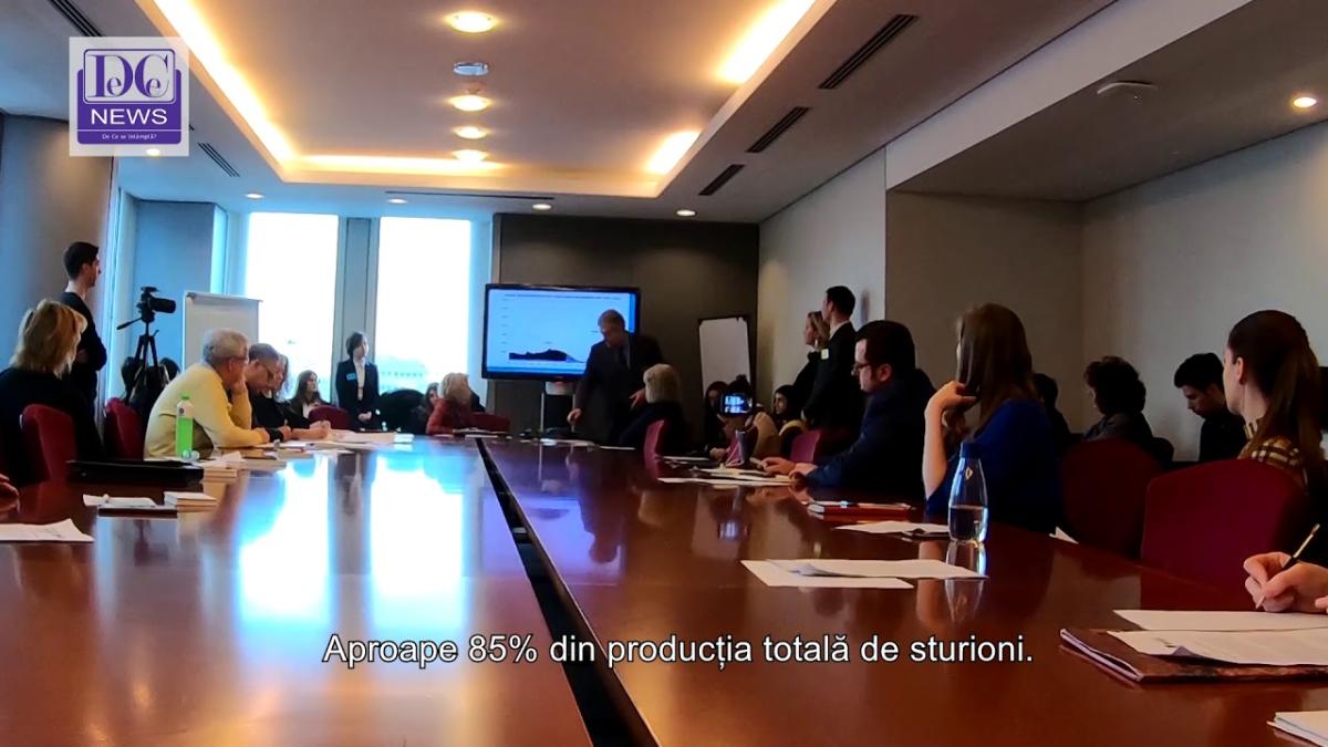 Paolo Bronzi, despre sturioni și caviar