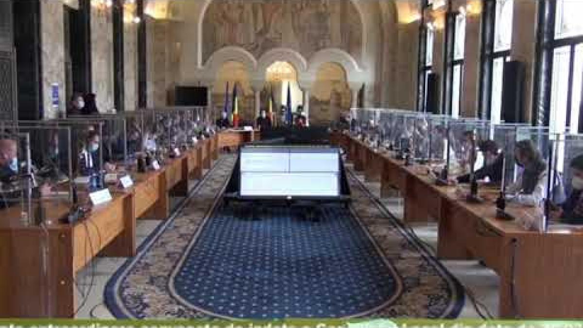 RUPTURĂ PNL - USR. Clotilde Armand: E o schizofrenie care mă depăşeşte / ÎNREGISTRARE