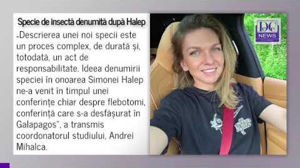 O nouă specie de insectă a fost denumită după Simona Halep