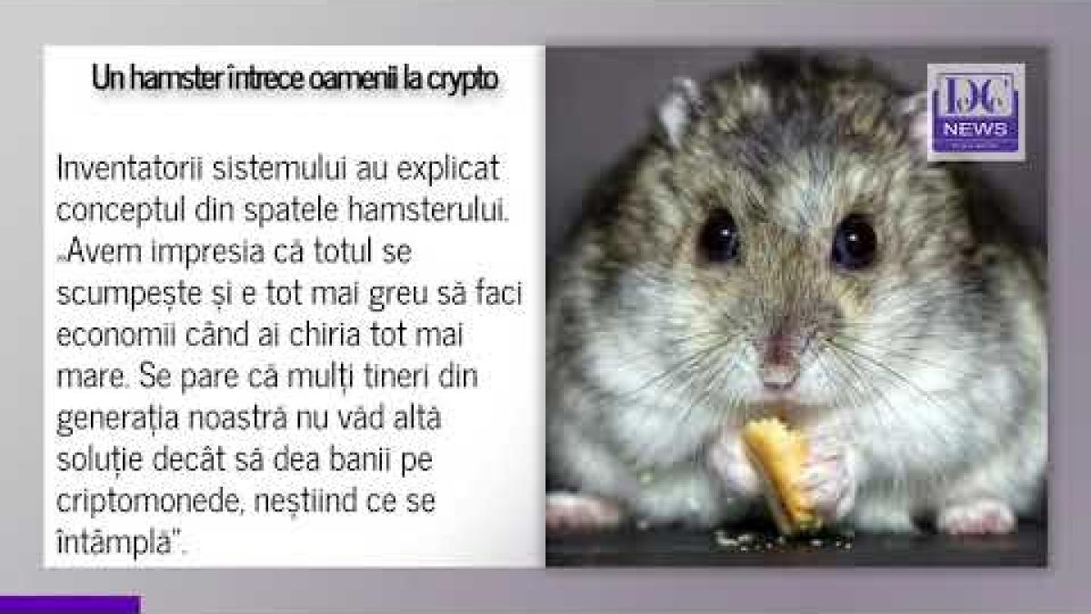 Un hamster pe nume „Dl. Goxx” tranzacționează criptomonede mai deștept decât mulți investitori