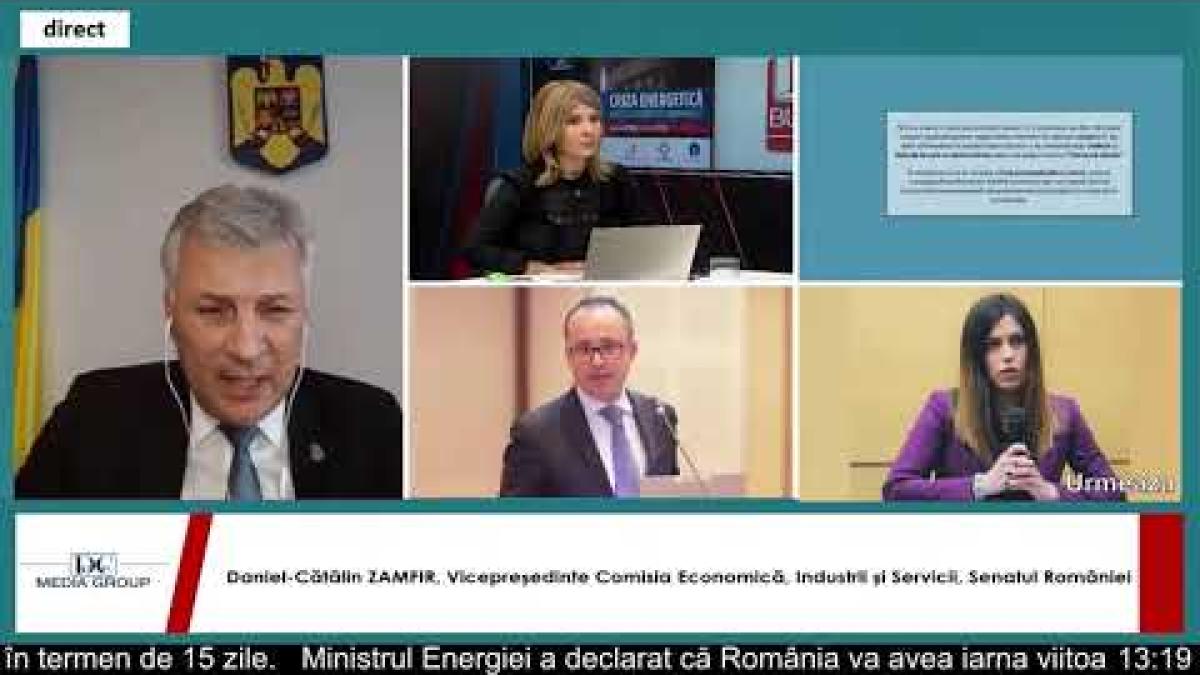 Elena Cristian, către Daniel Zamfir: Nu mai sunteți în coaliție cu domnul Popescu?