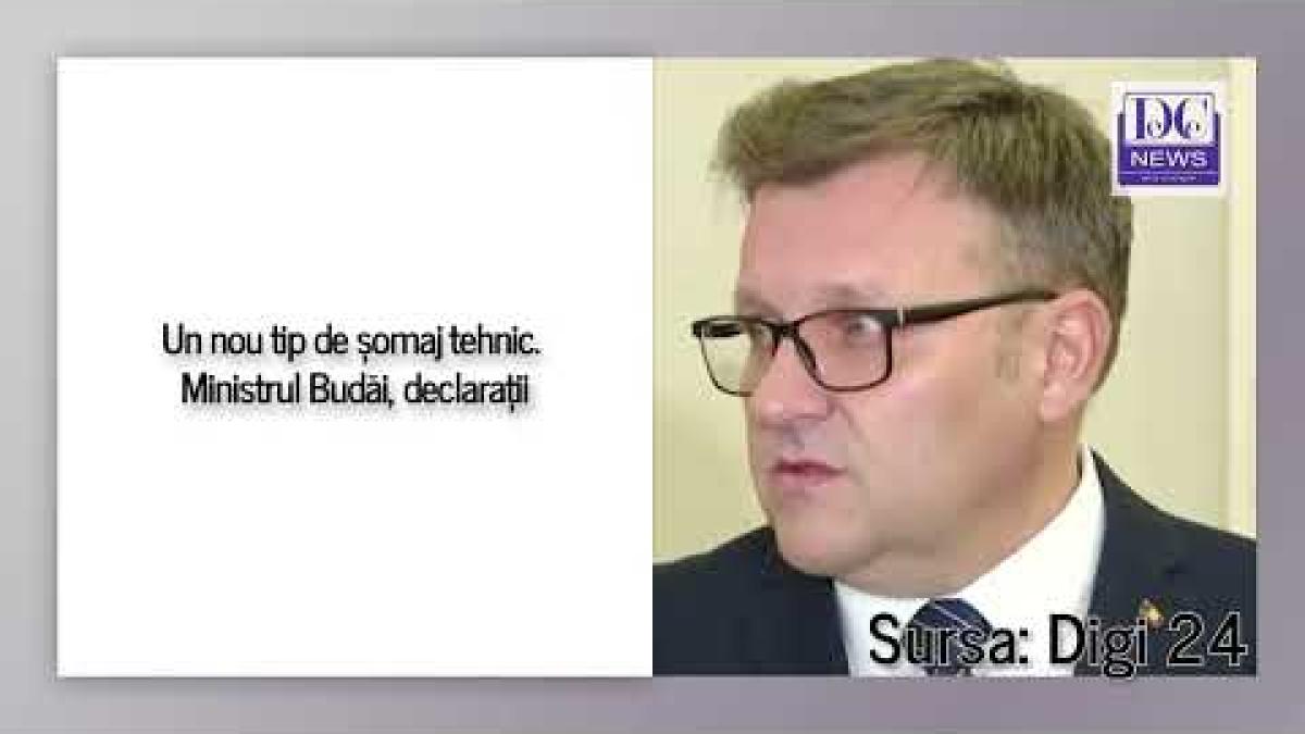 Un nou tip de șomaj tehnic. Ministrul Budăi, declarații