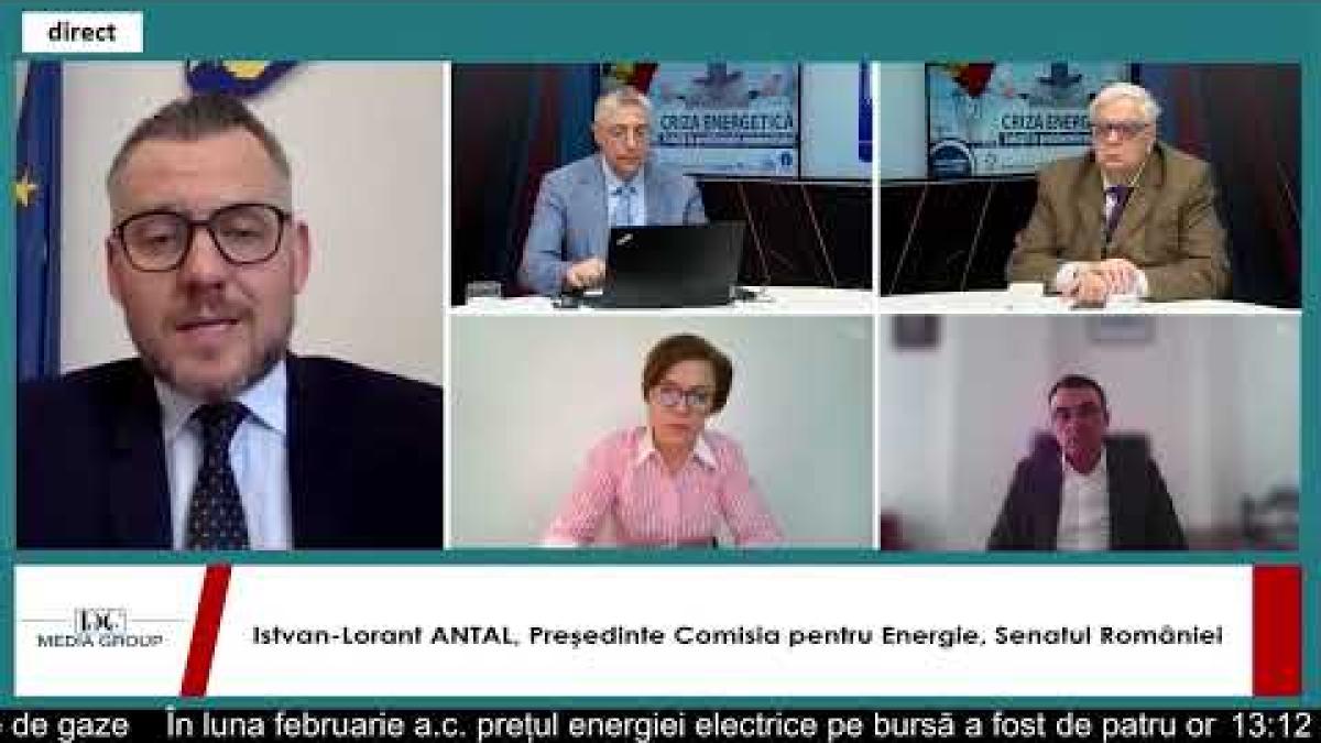 István-Loránt Antal, despre noile măsuri de sprijin în domeniul energiei