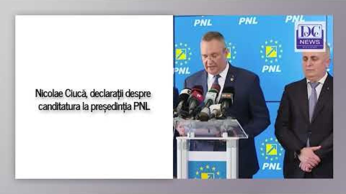 Nicolae Ciucă, declarații despre candidatura la președinția PNL