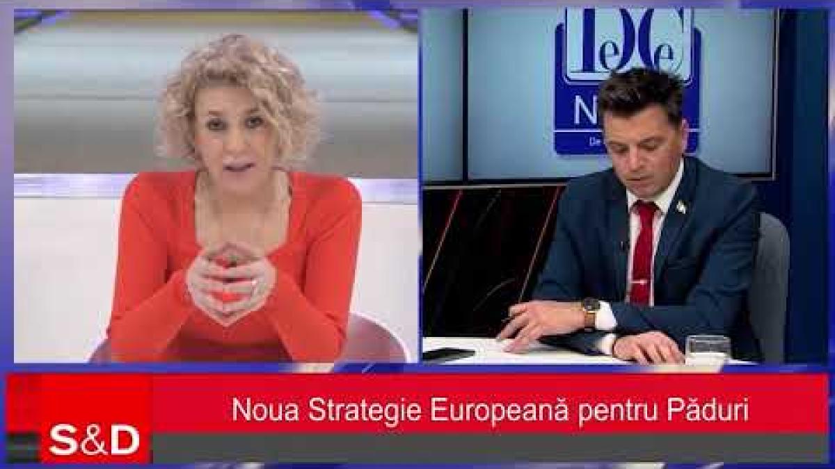 Carmen Avram: Ce ni se pregătește în materie de păduri, de la nivelul UE