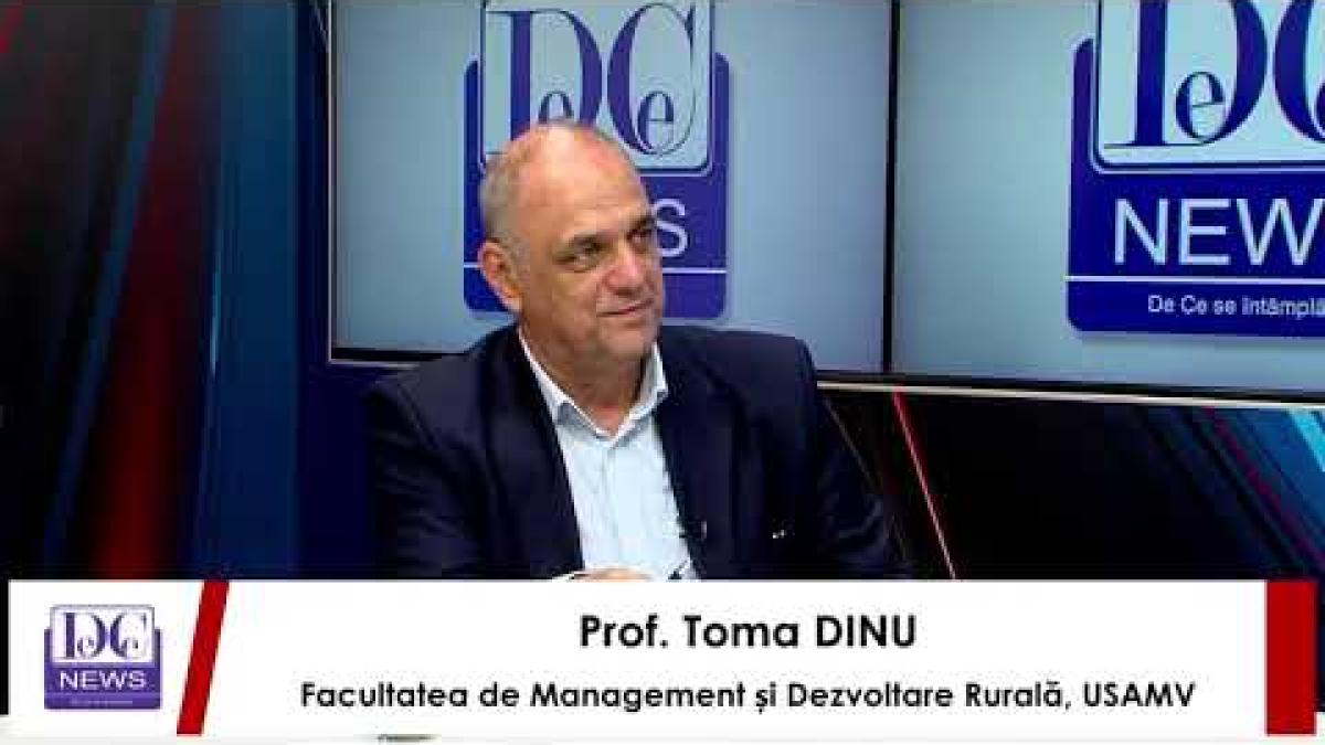 Abundența de grâu ucrainean în Portul Constanța îi afectează pe fermierii din România: Prețul scade