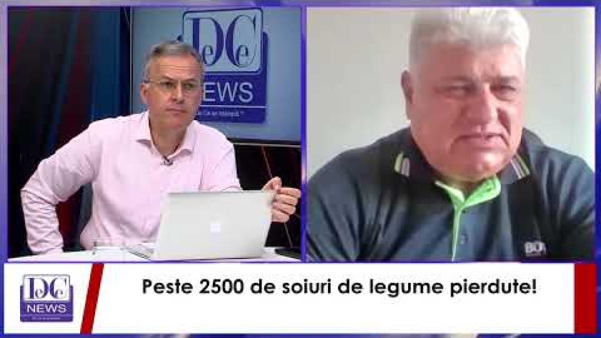 rase de porci pierdute de romania dragos frumosu parca ne au bagat pe gat soiuri straine