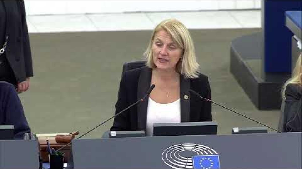 Refuzul Austriei pentru intrarea României în Schengen, dezbătut în PE