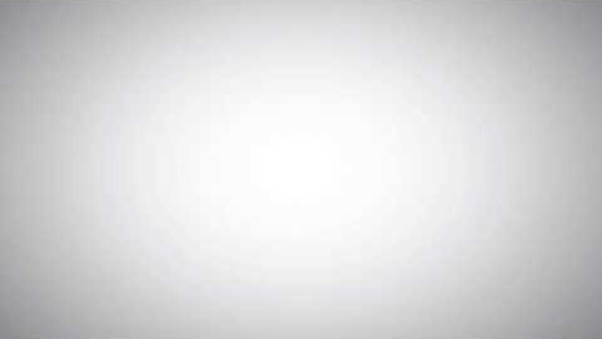 Povestea româncei care deține acțiuni la o firmă în valoare de 6 miliarde de euro