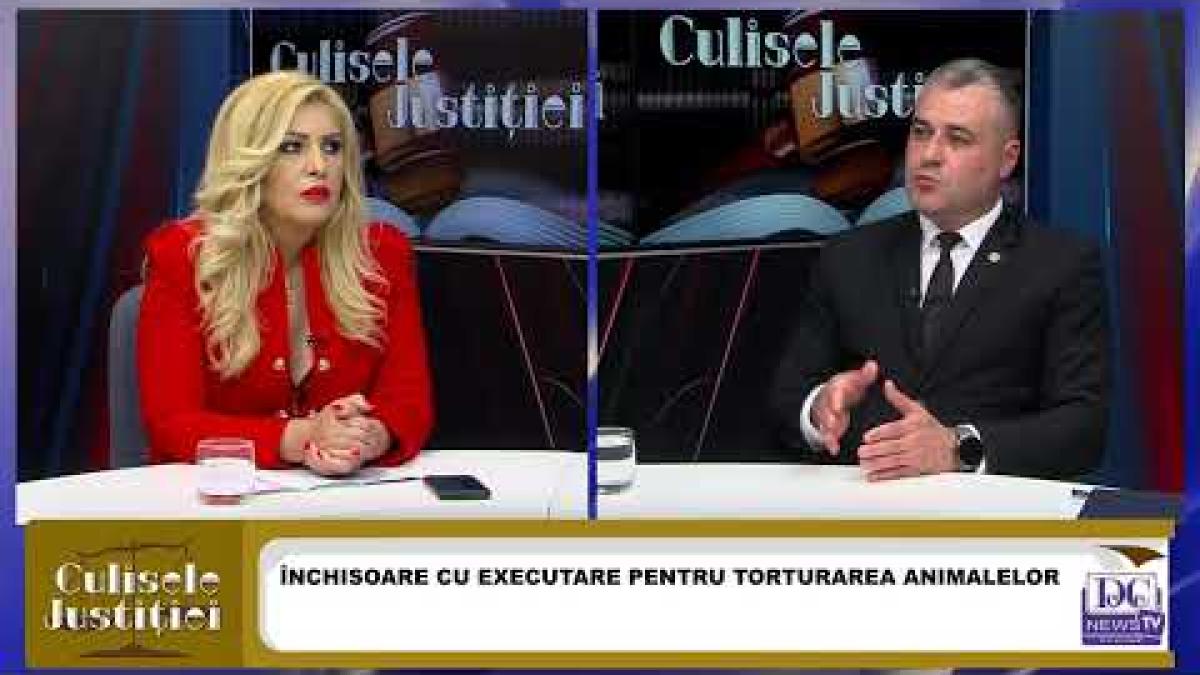 Daniel Radu (Direcția pentru Protecția Animalelor), invitat la Culisele Justiției cu Laura Duță