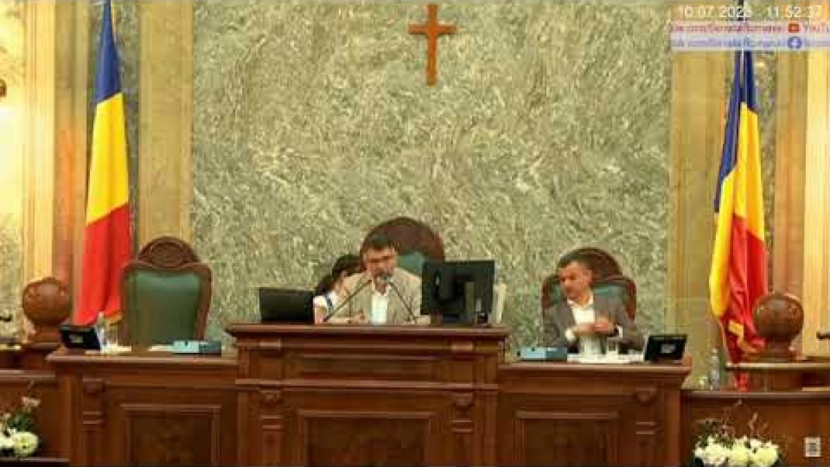 Ședința în plen a Senatului României, 10 iulie 2023, după demisia lui Eduard Hellvig de la SRI