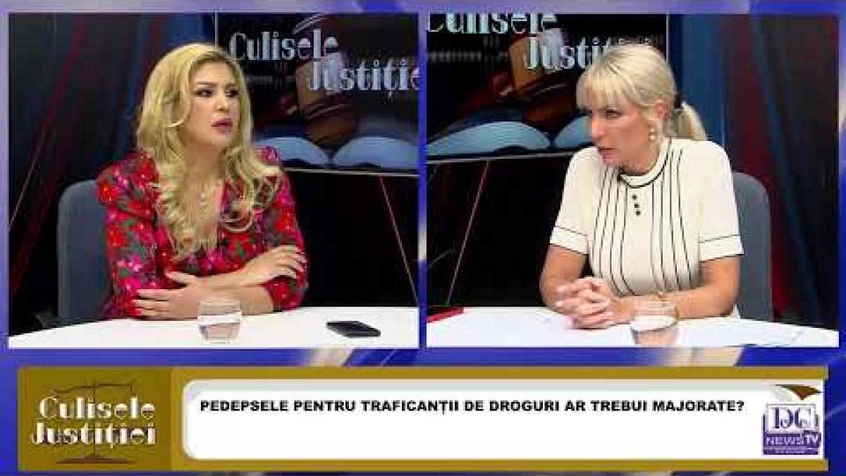 Președintele Comisiei Juridice din Camera Deputaților, Laura Vicol, la Culisele Justiției