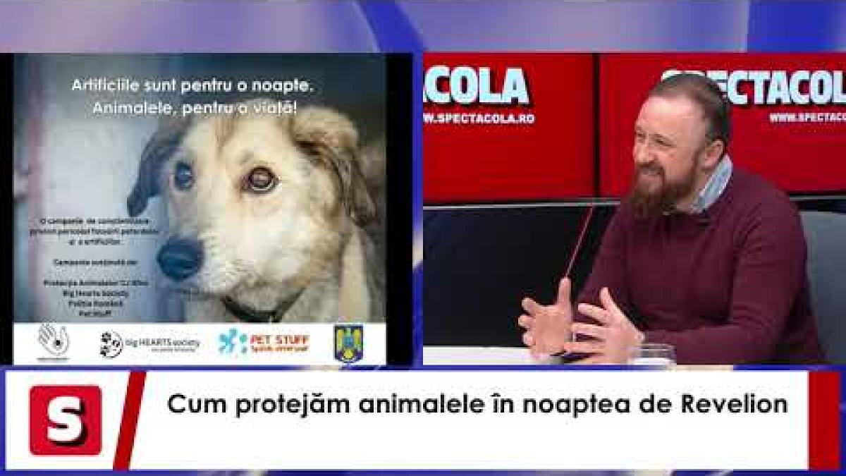 „Artificiile sunt pentru o noapte. Animalele, pentru o viață”