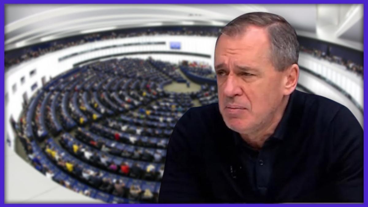 Ciuvică: Așa văd rezultatele la europarlamentare, Hashtag + UDMR cam 15%