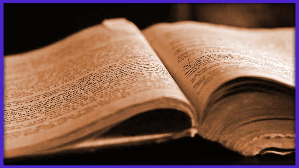 România avea doar poeți și scriitori la 1800? Profesorul care clarifică: Avem imagini lăsate prin scriitori, memorialiști, dar nu știm cum înjurau oamenii la piață
