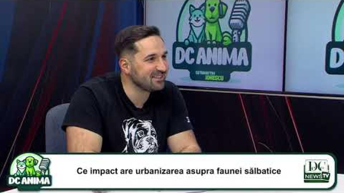 Emisiunea iubitorilor de animale - DC Anima cu Tudor-Tim Ionescu. Oana Vasiliu, prima invitată