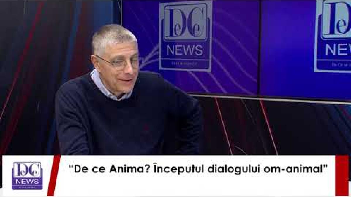 Tudor-Tim Ionescu, totul despre DC Anima, noua emisiune marca DC Media Group