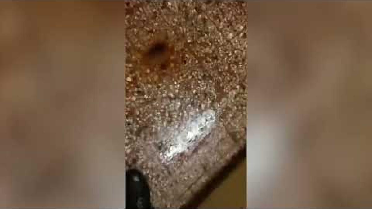 Video din "Sfântul Pantelimon". Ce pică din țevi pe medici și mâncare