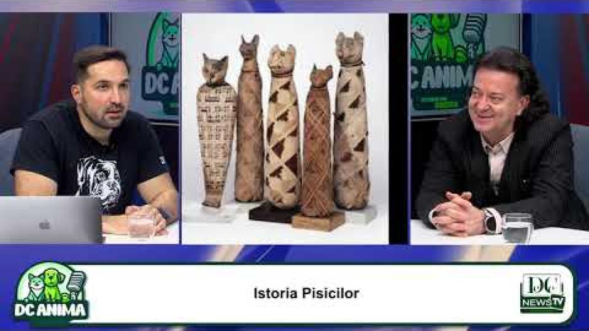 Adrian Dragotă, la DC Anima. Pisicile în România: istorie, mituri, prezent și sfaturi