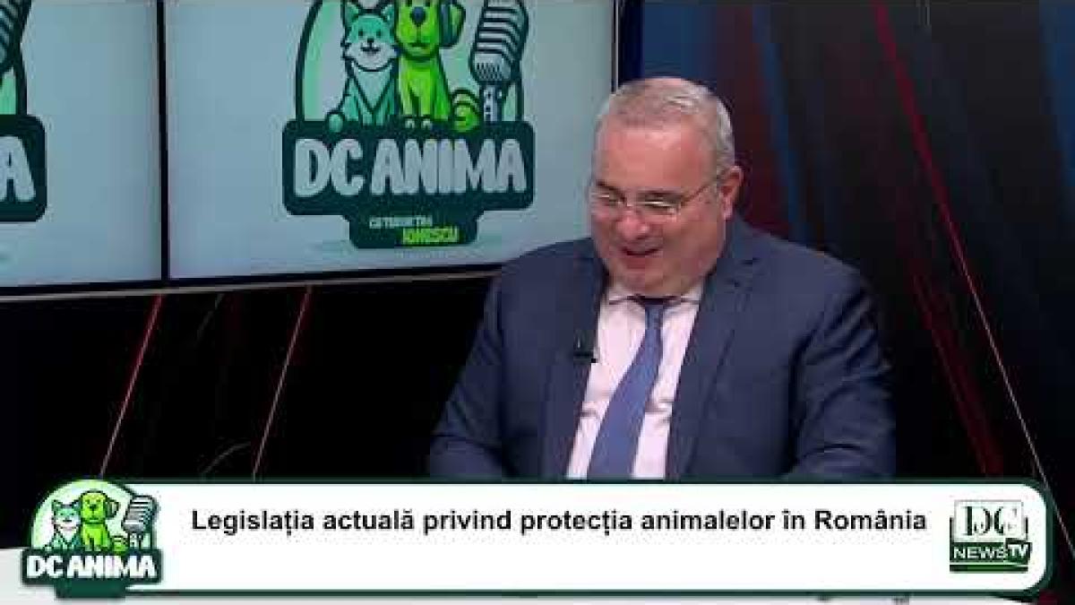 Avocatul Constantin Florin Durgheu, la DC Anima. Drepturile animalelor și implicațiile legale