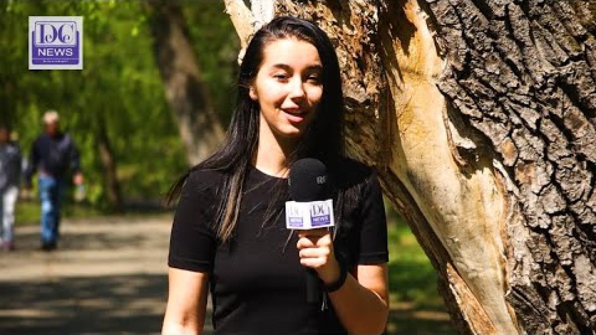 Care sunt parcurile preferate ale bucureștenilor, după imaginile dezastrului din Herăstrău