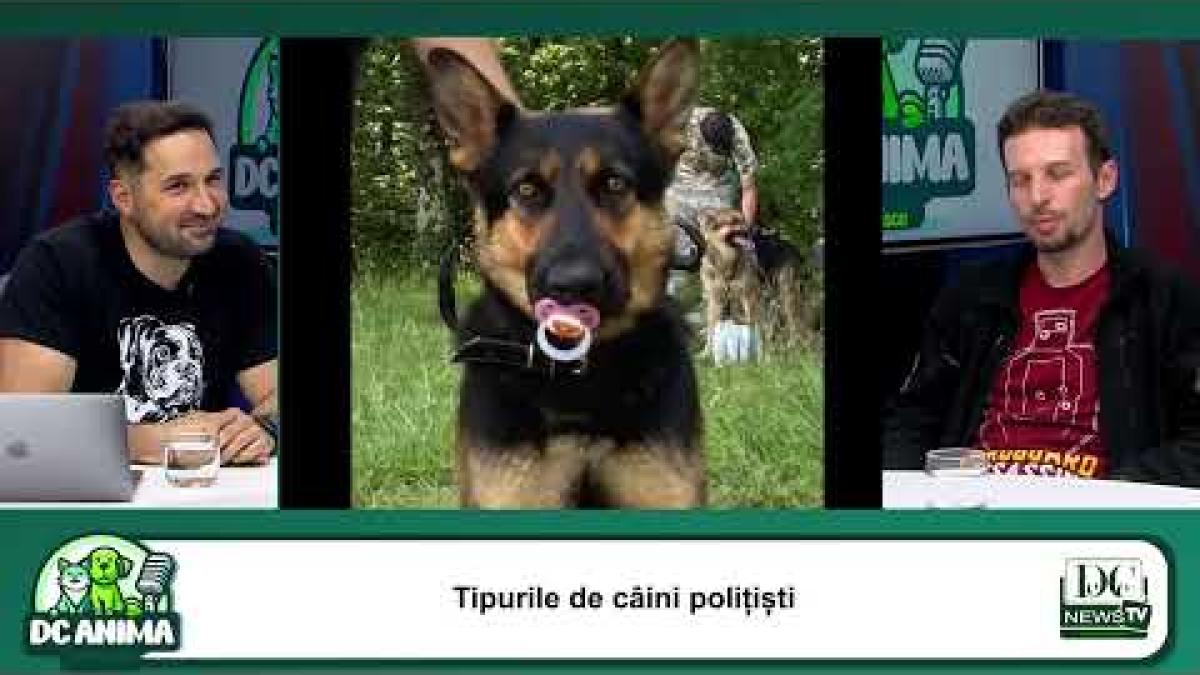 Robert Dorobanțu, despre Poliție Canină, la DC Anima