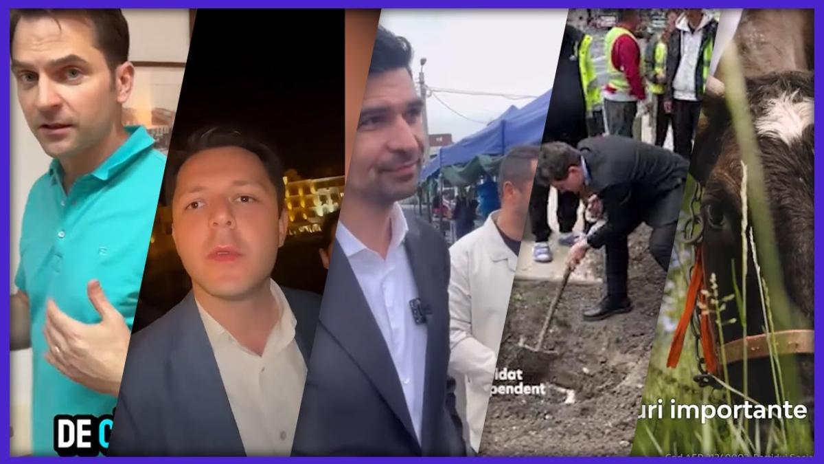 Ce au făcut candidații în prima săptămână de campanie: S-au filmat cu vaca, au dat cu lopata, s-au bătut