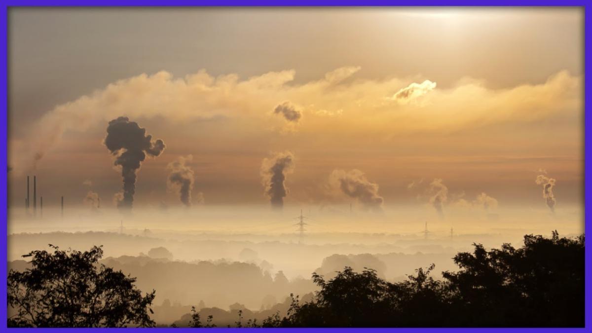 Care sunt interesele pentru care bucureștenii sunt intoxicați zilnic dinspre Ilfov. Berceanu: Vorbim de sclavie modernă la 15 km de sediul Guvernului
