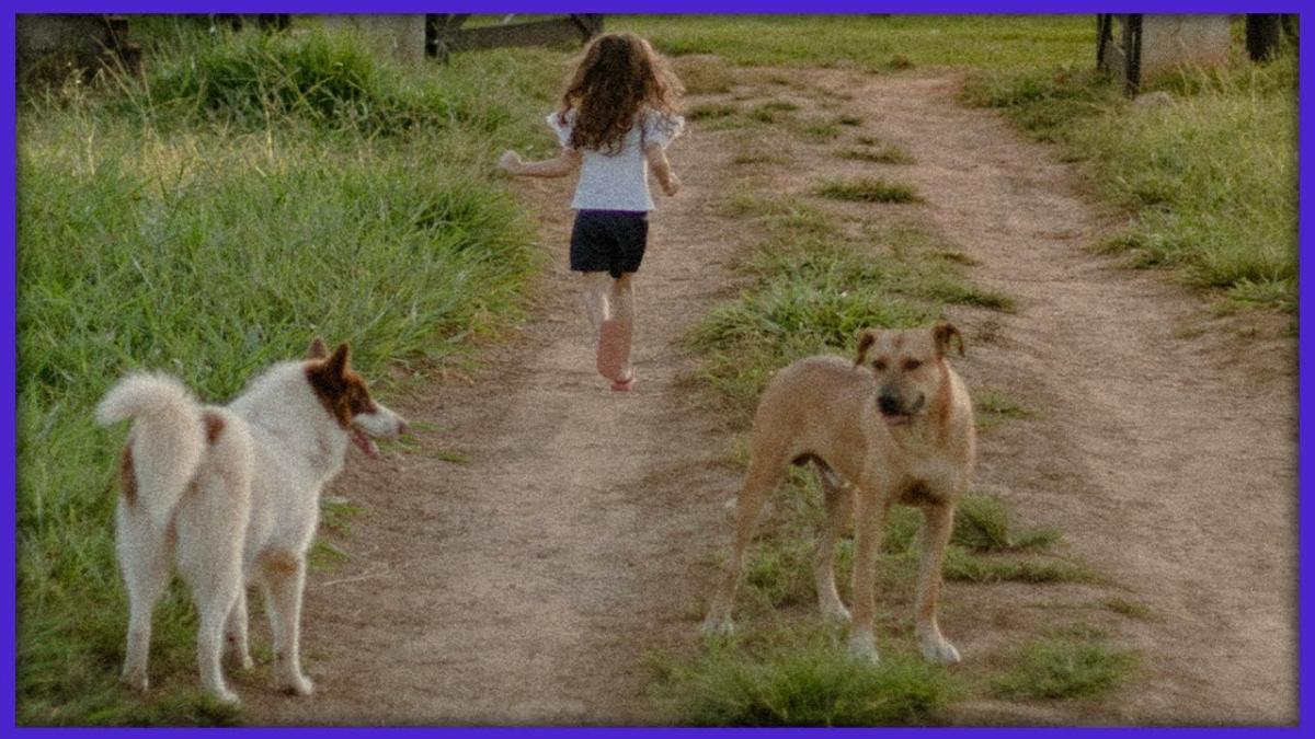 Tuță vrea să aplice în Sectorul 1 proiectul văzut în Ilfov, despre animale. Lecții pentru copii
