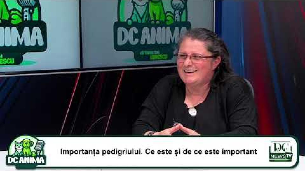 Ce e Pedigree-ul la câini | de ce e important | Brîndușa Gheorghiu - instructor &amp; arbitru chinologic