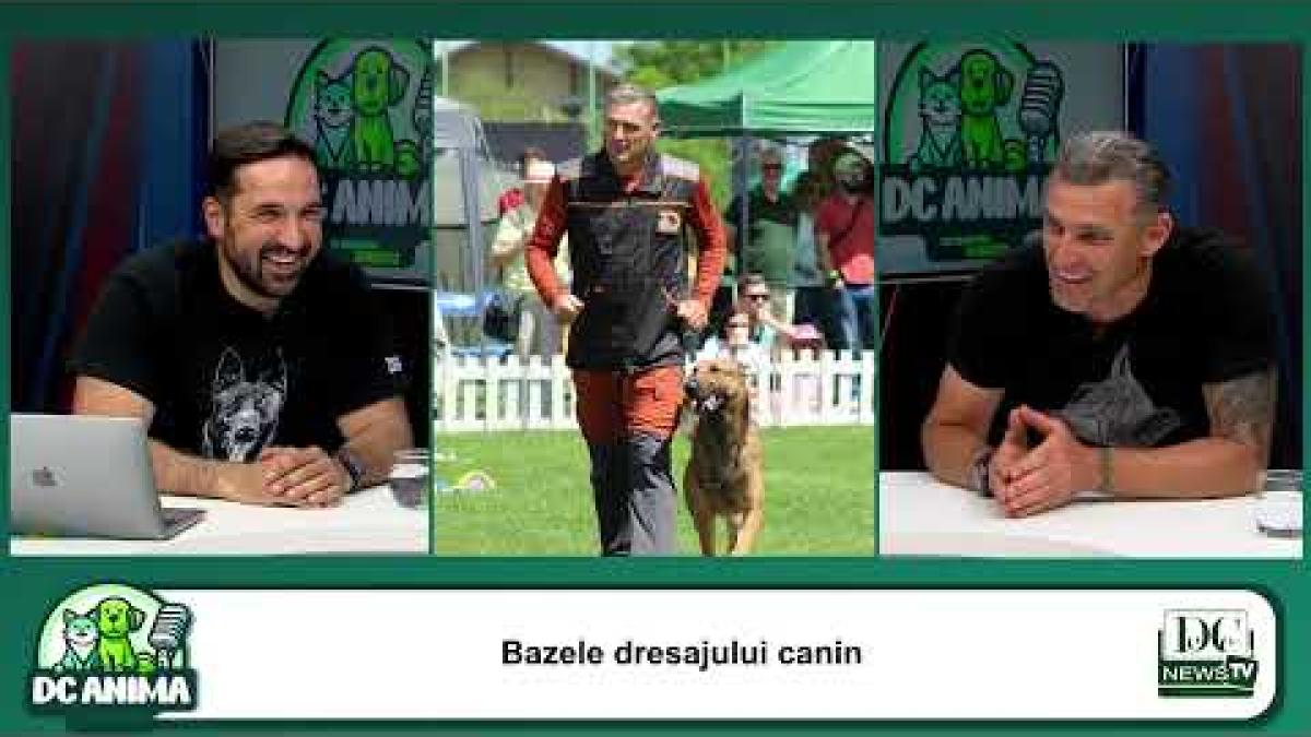 Secretele dresajului canin. Ciprian Cordoș, instructor de dresaj, la DC Anima