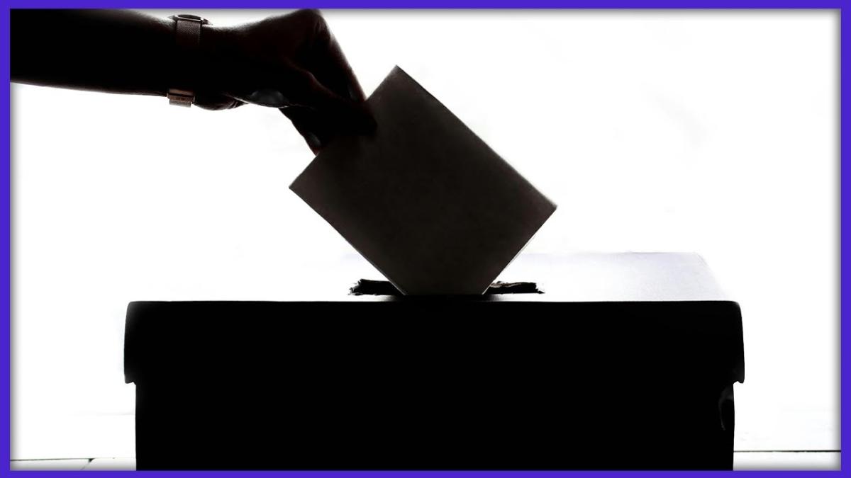 Tensiunile din Coaliția PNL-PSD: "Nu știm când vom merge la vot și de ce"