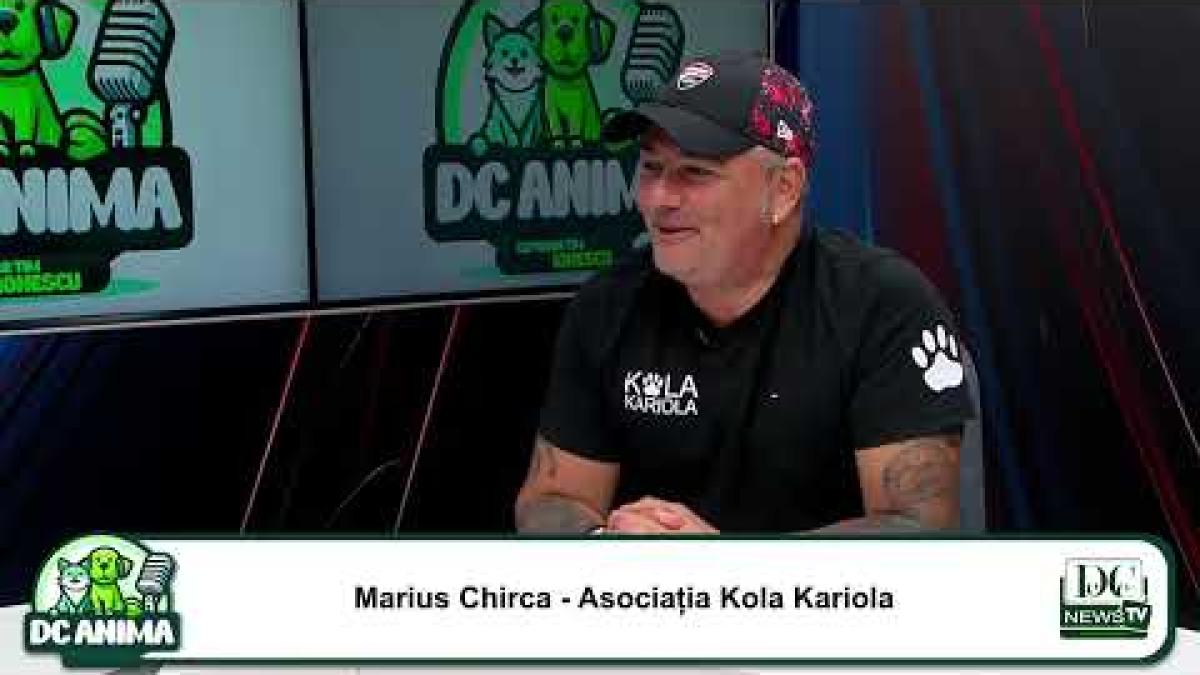 Asociațiile de protecția animalelor din România: între bine și rău | Kola Kariola