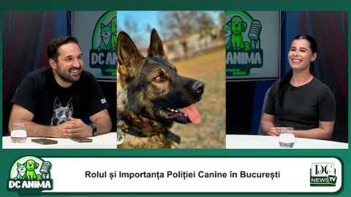 Poliția canină - eroii patrupezi. Despre curaj și pasiune cu Alexandra Neacșu