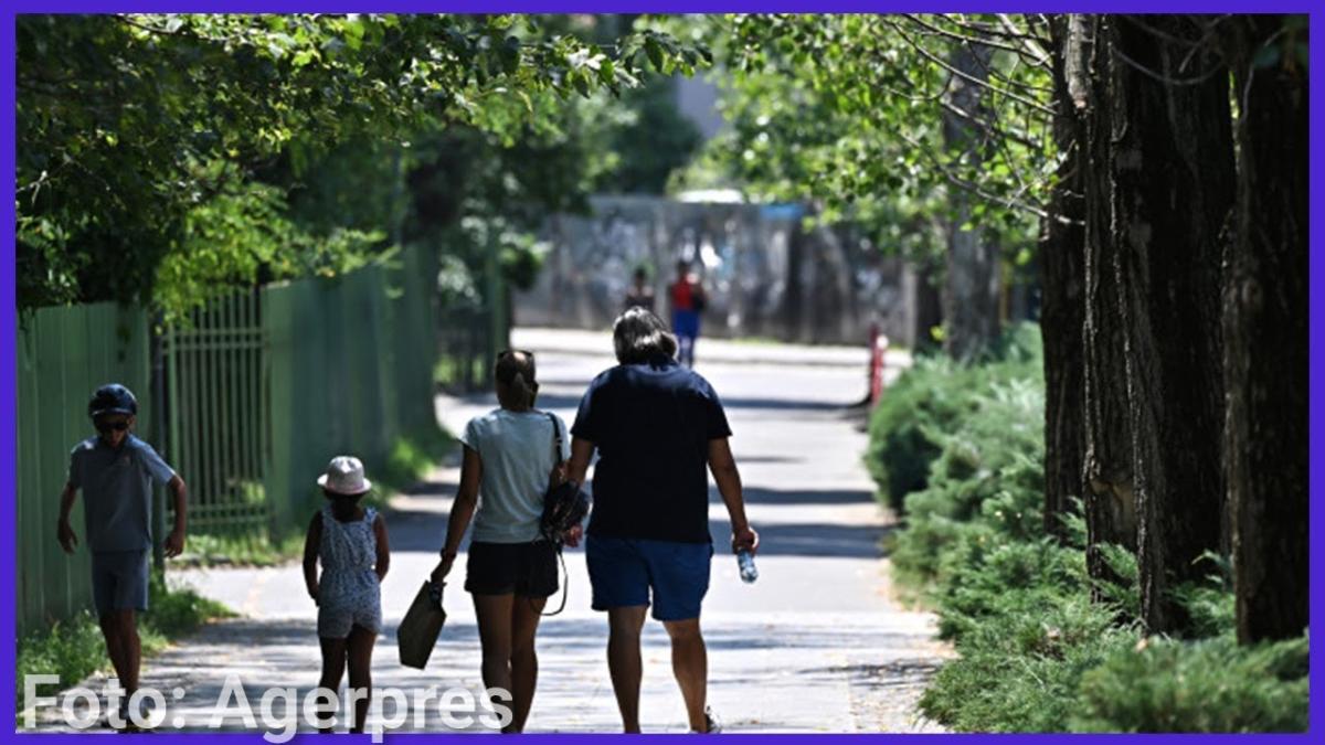 Când se va sparge buba românilor. Palada: Le este frică să nu iasă lumea cu furci în stradă