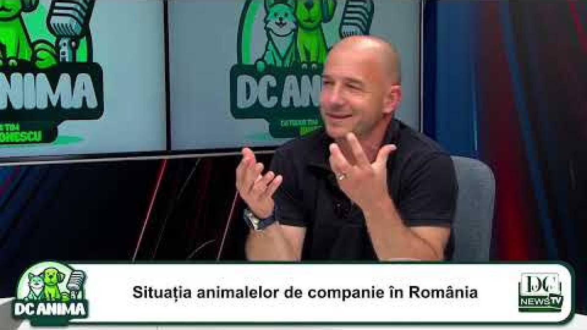 Cine salvează animalele nimănui | Homeless Animal Hospital - Dr. Vet. Aurelian Stefan