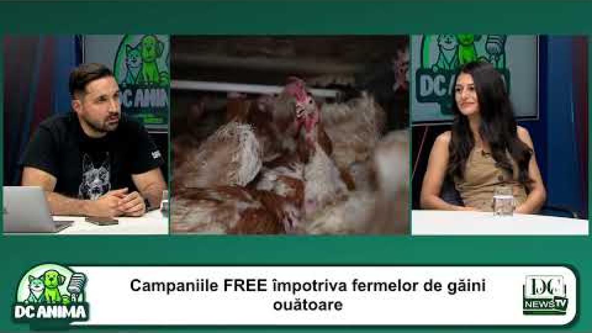 Marșul pentru drepturile Animalelor - 21 septembrie | Iulia Marin, asociația FREE