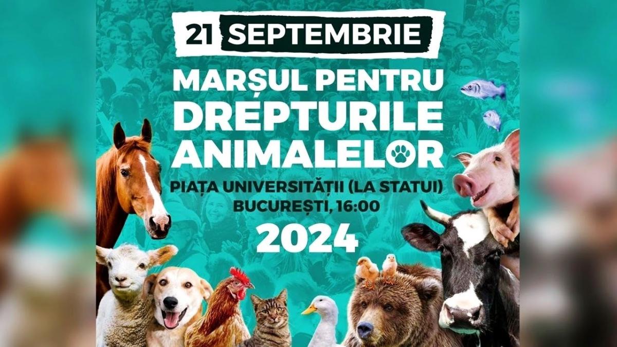 „Nu este doar pentru vegani”: Marșul pentru drepturile animalelor, organizat pe 21 septembrie în București