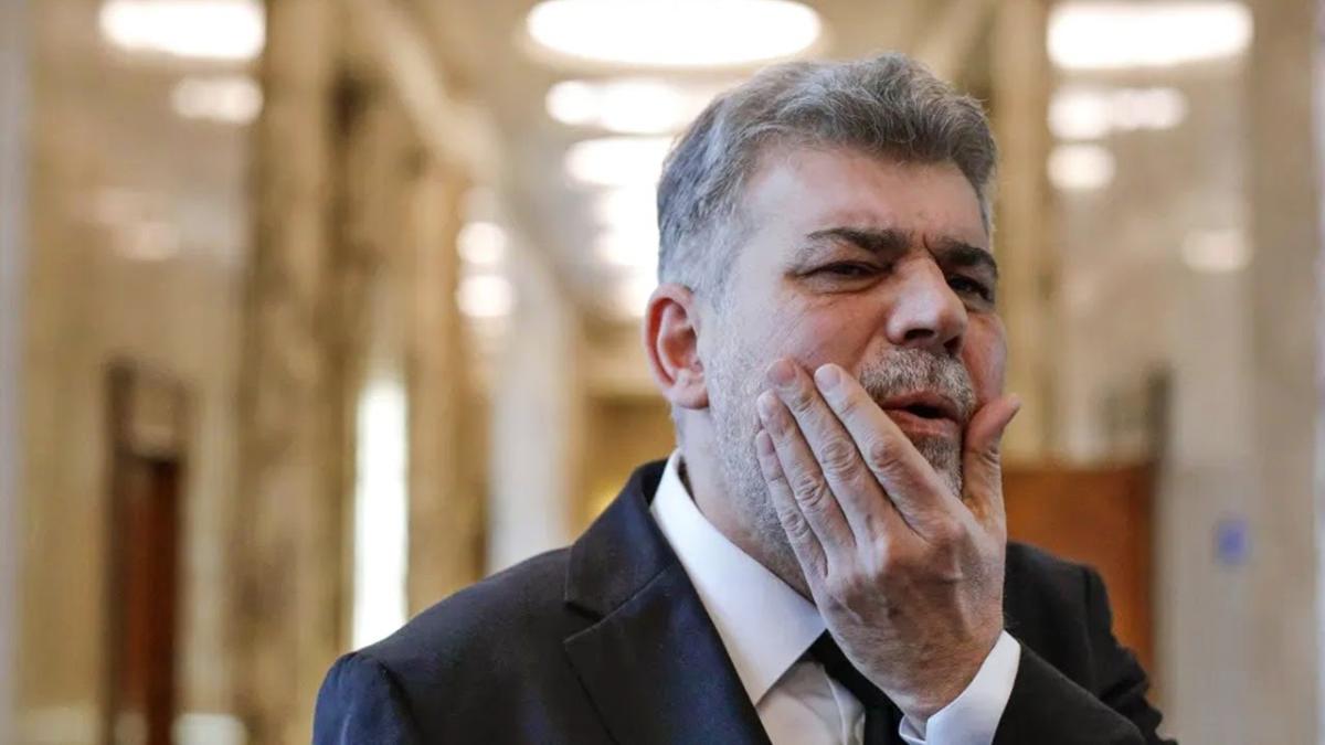Marcel Ciolacu „nu e în stare să-și asume o execuție în lanț”. Diana Tache, predicție amară pentru PSD la toamnă