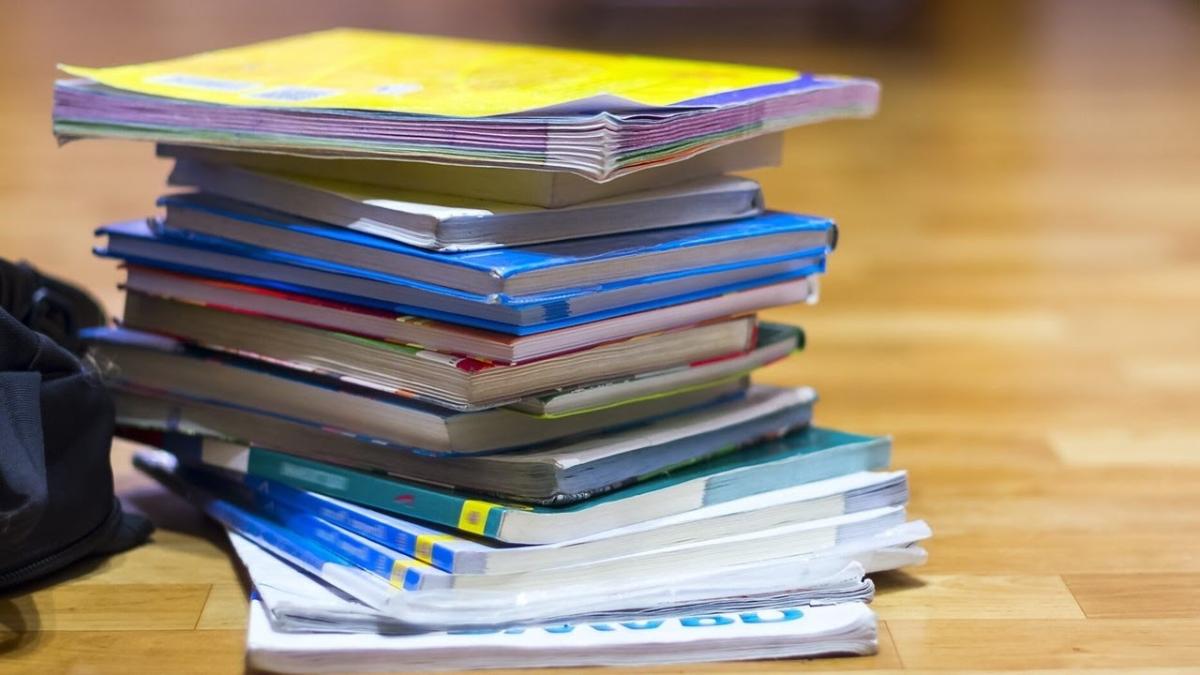 Materii inutile în școli. Critic literar: Sunt discipline pentru care nu ești făcut și îți ocupă timpul