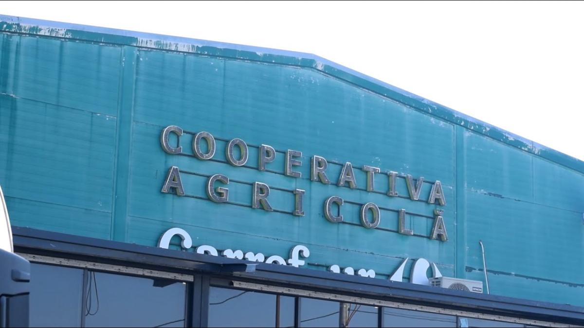 Cum își dezvoltă producția femierii din Vărăști, județul Giurgiu. Rețeta de succes, o cooperativă agricolă
