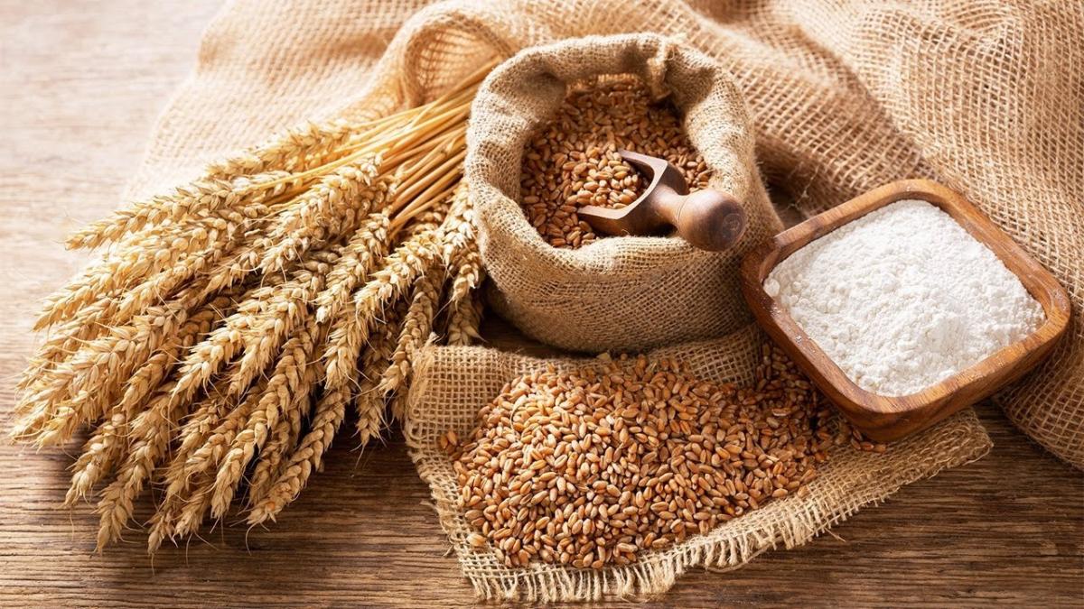 „Importăm doar 1,5%!”: Ministrul Agriculturii clarifică mitul pâinii congelate și situația producției de grâu