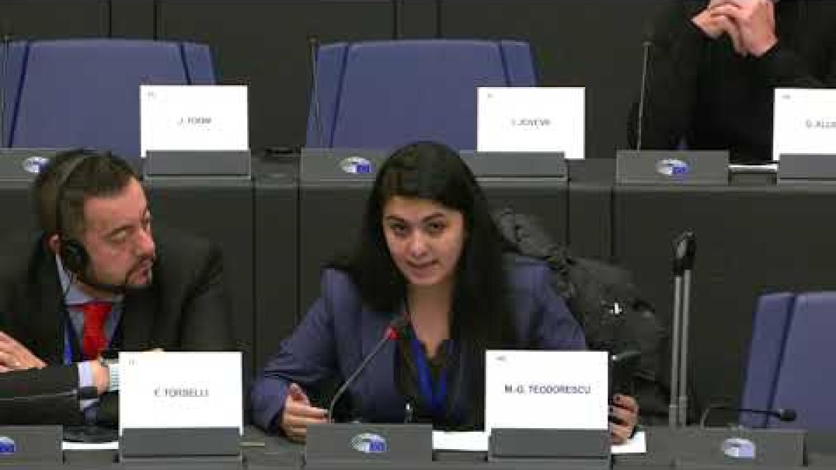 Georgiana Teodorescu, despre acordarea fondurilor europene pentru reconstrucția zonelor afectate