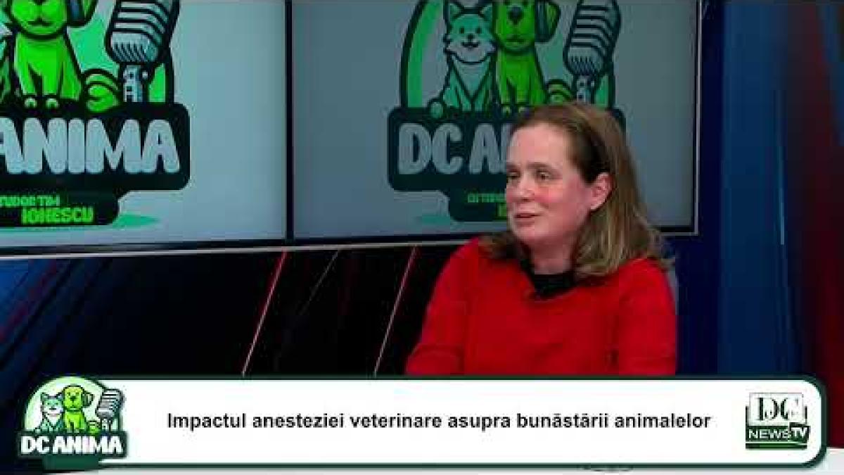 Dr Ruxandra Costea, la Dc Anima. Anestezia veterinară: Puntea dintre suferință și vindecare